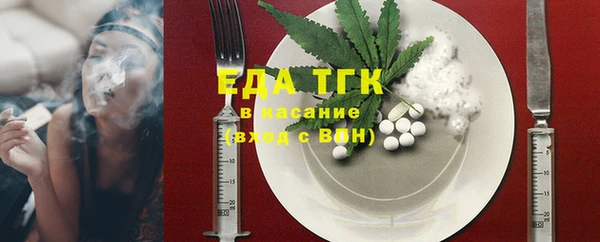 индика Приозерск