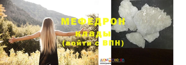 индика Приозерск