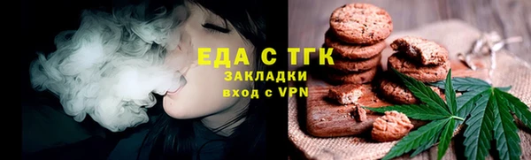 индика Приозерск