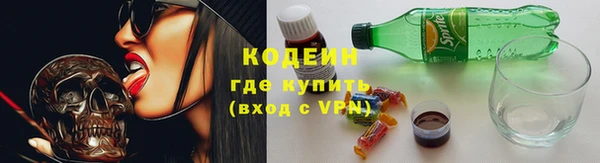 индика Приозерск