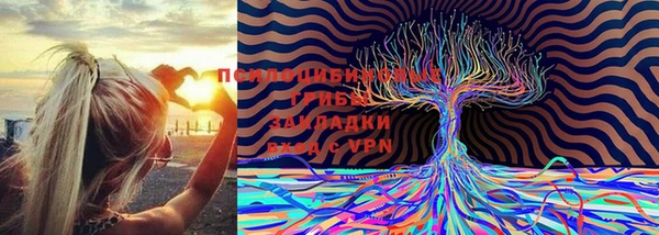 скорость Протвино