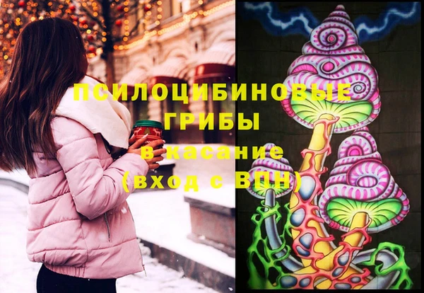 гидропоника Дегтярск