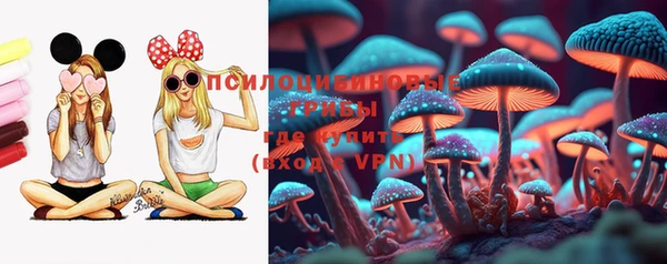 индика Приозерск