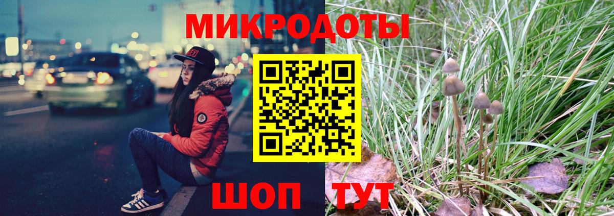 Псилоцибиновые грибы Psilocybe Верхняя Салда